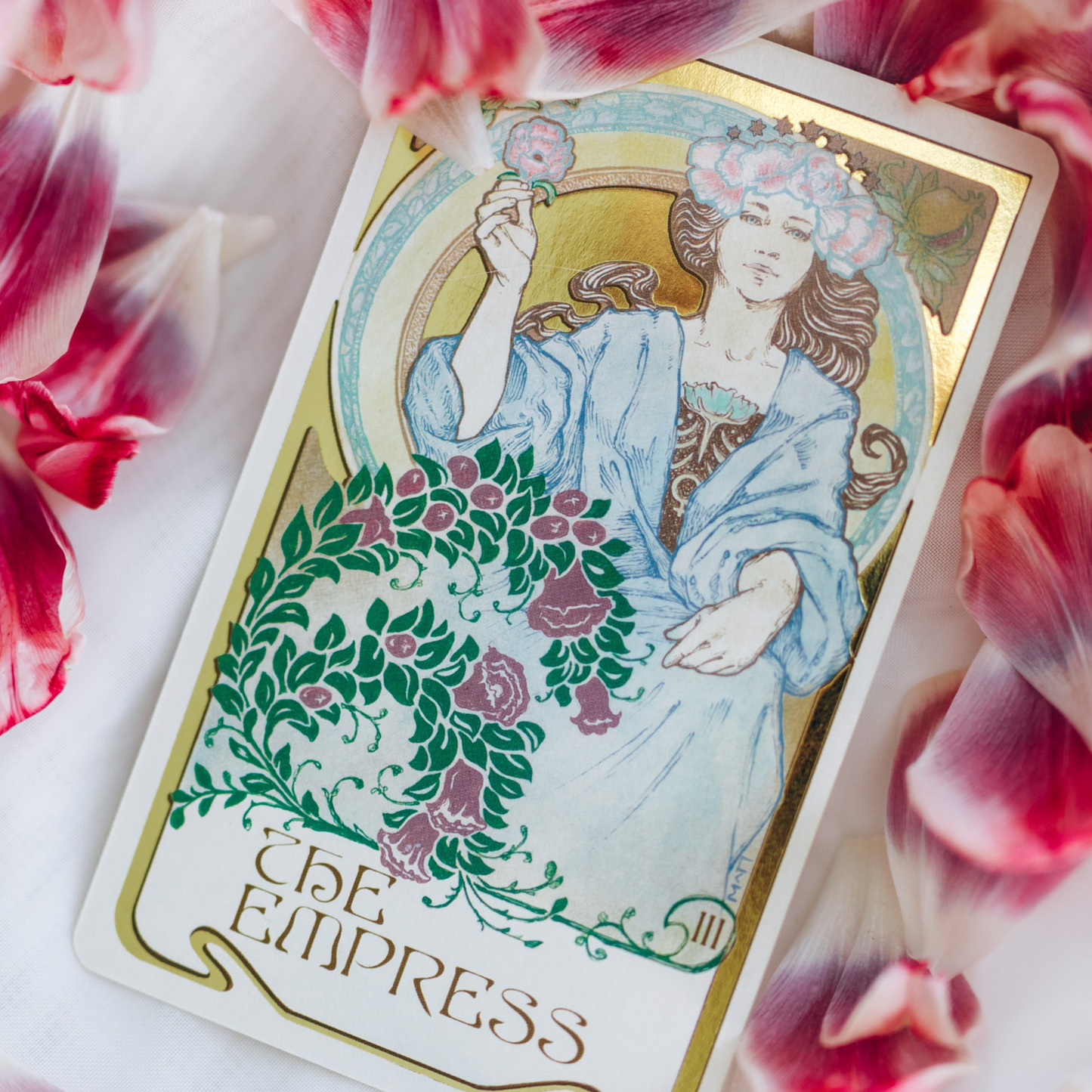 Explore the world of Tarot - January 2026